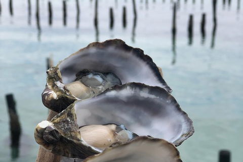Coffin Bay Oysters, Ocean & Nature Tour - Melbourne Tourism 6