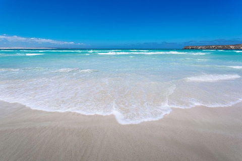 Coffin Bay Oysters, Ocean & Nature Tour - Melbourne Tourism 14