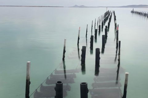 Coffin Bay Oysters, Ocean & Nature Tour - Melbourne Tourism 15