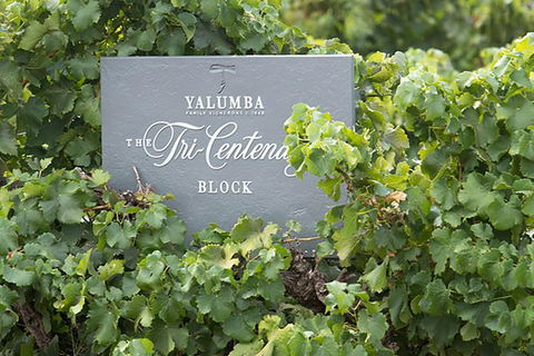 Yalumba Nursery & Grenache Discovery Tour + Platter Lunch - Melbourne Tourism 0