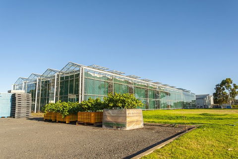 Yalumba Nursery & Grenache Discovery Tour + Platter Lunch - Melbourne Tourism 5