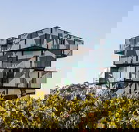 Small Group McLaren Vale and The Cube Experience - Melbourne Tourism