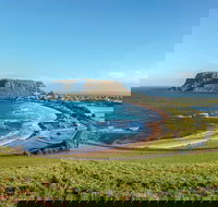 Cruise Ship Special from Burnie to Stanley and The Nut - Melbourne Tourism