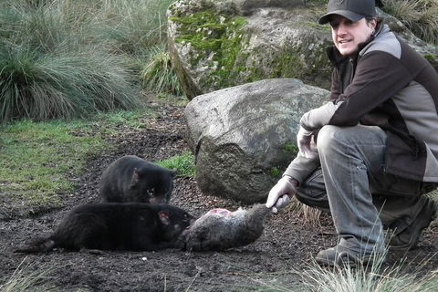 Sunset Experience - Melbourne Tourism 2