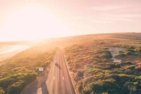 LGBT+ Friendly 2 Day Private Great Ocean Road Tour - Melbourne Tourism 1