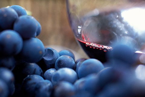 Mornington Peninsula Premium 2-6 Guests Lunch At Merricks General Wine Store - Melbourne Tourism 7