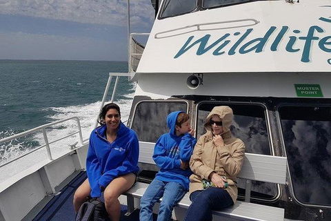 Phillip Island Penguin And Wildlife Tour - Melbourne Tourism 15