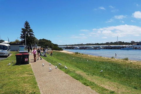 Phillip Island Penguin And Wildlife Tour - Melbourne Tourism 25