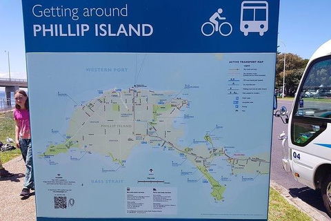 Phillip Island Penguin And Wildlife Tour - Melbourne Tourism 28