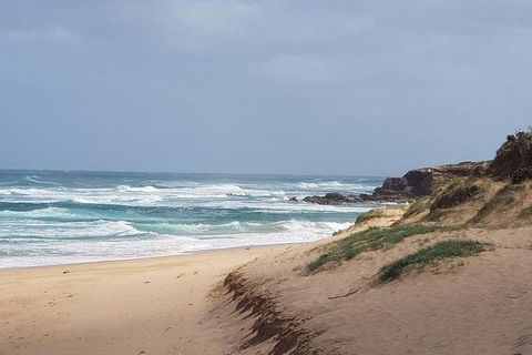 Phillip Island Penguin And Wildlife Tour - Melbourne Tourism 10