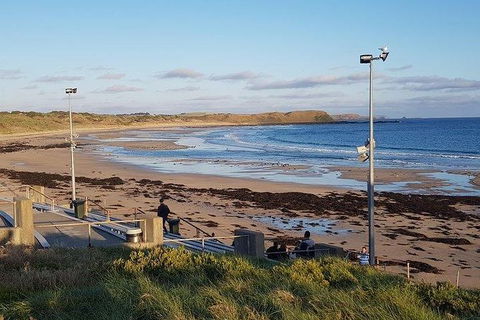 Phillip Island Penguin And Wildlife Tour - Melbourne Tourism 8
