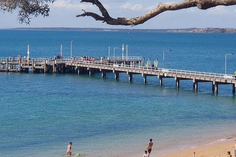 Phillip Island Penguin And Wildlife Tour - Melbourne Tourism 2