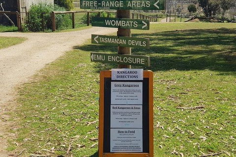 Phillip Island Penguin And Wildlife Tour - Melbourne Tourism 4