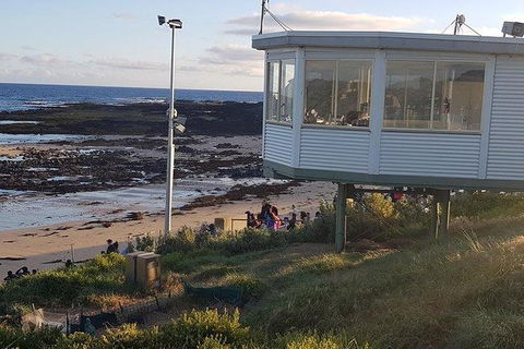 Phillip Island Penguin And Wildlife Tour - Melbourne Tourism 33