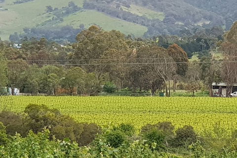 Day Tour Of Yarra Valley Puffing Billy And Rayners Orchard - Melbourne Tourism 44