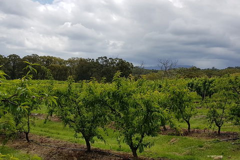 Day Tour Of Yarra Valley Puffing Billy And Rayners Orchard - Melbourne Tourism 42