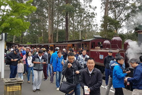 Day Tour Of Yarra Valley Puffing Billy And Rayners Orchard - Melbourne Tourism 3