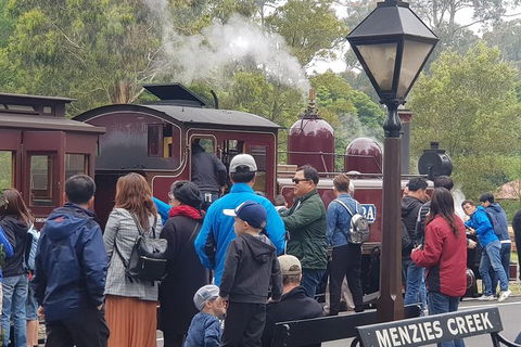 Day Tour Of Yarra Valley Puffing Billy And Rayners Orchard - Melbourne Tourism 40