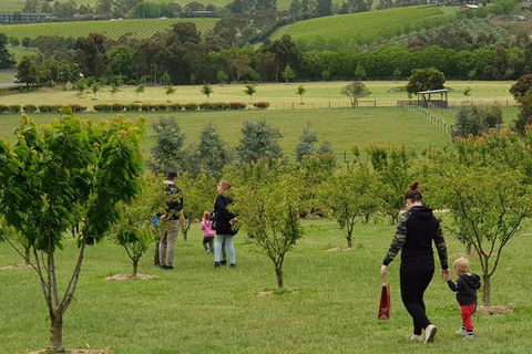 Day Tour Of Yarra Valley Puffing Billy And Rayners Orchard - Melbourne Tourism 36
