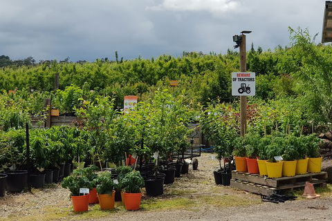 Day Tour Of Yarra Valley Puffing Billy And Rayners Orchard - Melbourne Tourism 46
