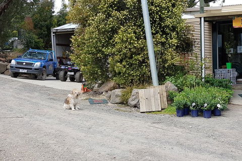 Day Tour Of Yarra Valley Puffing Billy And Rayners Orchard - Melbourne Tourism 6