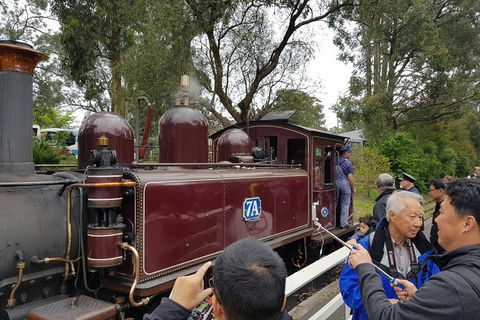 Day Tour Of Yarra Valley Puffing Billy And Rayners Orchard - Melbourne Tourism 28
