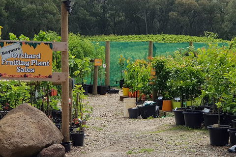 Day Tour Of Yarra Valley Puffing Billy And Rayners Orchard - Melbourne Tourism 22