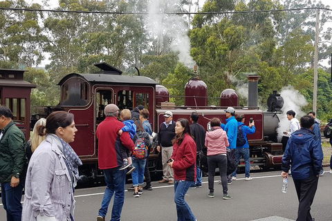 Day Tour Of Yarra Valley Puffing Billy And Rayners Orchard - Melbourne Tourism 4