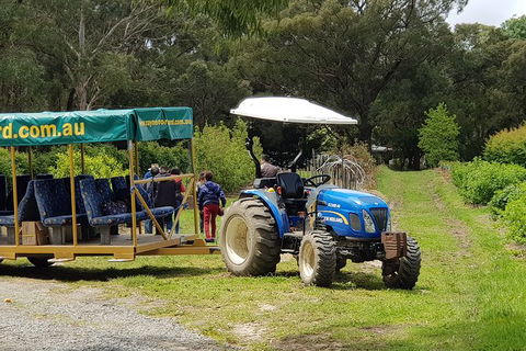 Day Tour Of Yarra Valley Puffing Billy And Rayners Orchard - Melbourne Tourism 25