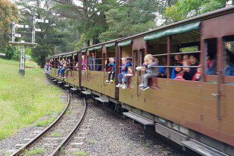Day Tour Of Yarra Valley Puffing Billy And Rayners Orchard - Melbourne Tourism 24