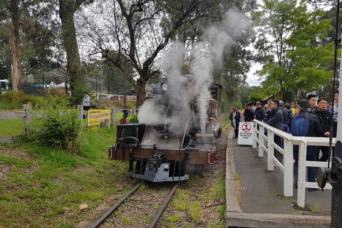 Day Tour Of Yarra Valley Puffing Billy And Rayners Orchard - Melbourne Tourism 43