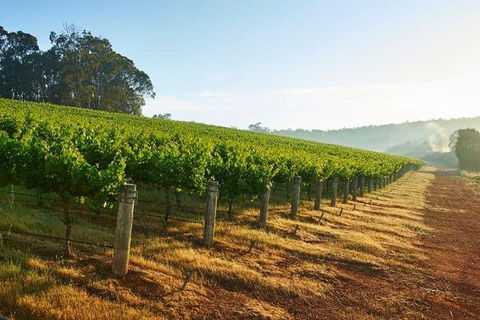 Botanical Gardens, Winery And Scenic Full Day Tour - Melbourne Tourism 2