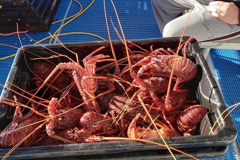 Lobster Fishing Tour At Geraldton - Melbourne Tourism 6