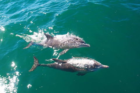 Sailing Kayak Adventure Through The Peel Harvey Estuary - Melbourne Tourism 1