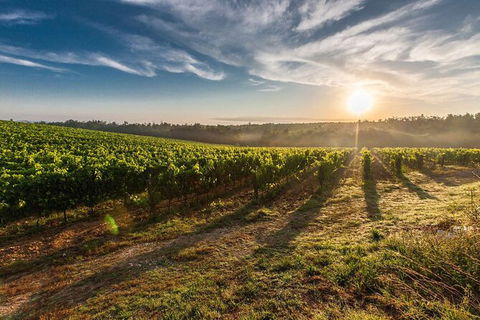 Perth To Margaret River Wine Tour - 2 Day Premium Boutique Wine Tour Experience - Melbourne Tourism 0