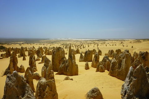 Pinnacles Desert Private Tour - Melbourne Tourism 5