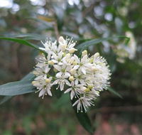 Booderee National Park - Melbourne Tourism
