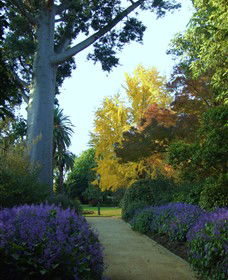 Albury NSW Melbourne Tourism