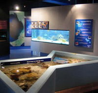 Marine and Freshwater Discovery Centre - Melbourne Tourism