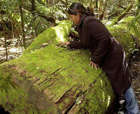  Melbourne Tourism