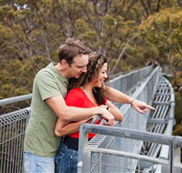 Valley of the Giants Tree Top Walk - Melbourne Tourism