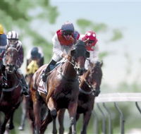 Colac Turf Club - Melbourne Tourism