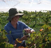 Kingsdale Wines - Melbourne Tourism