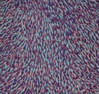 The Gate Gallery - Wollombi - Melbourne Tourism