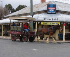 Shark Creek NSW Melbourne Tourism