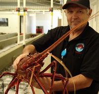 Lobster Shack - Melbourne Tourism