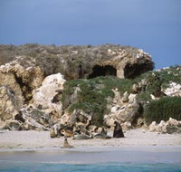 Jurien Bay Marine Park - Melbourne Tourism