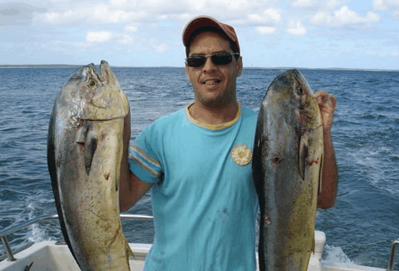 Jervis Bay Fishing and Charters - Melbourne Tourism