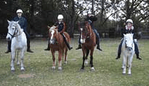 Valhalla Horse Riding - Melbourne Tourism 1