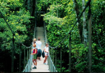 BTS Tours Pty Ltd - Melbourne Tourism 4
